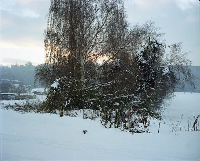 Paysage de Normandie, 2010