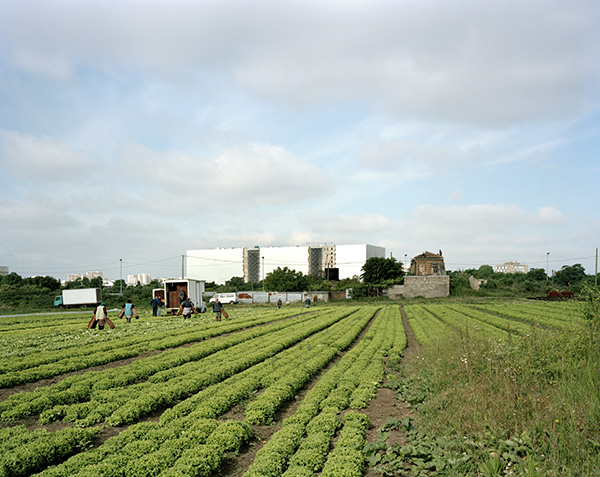 Vue des Archives nationales depuis un champ agricole, Pierrefitte-sur-Seine, 17 mai 2011