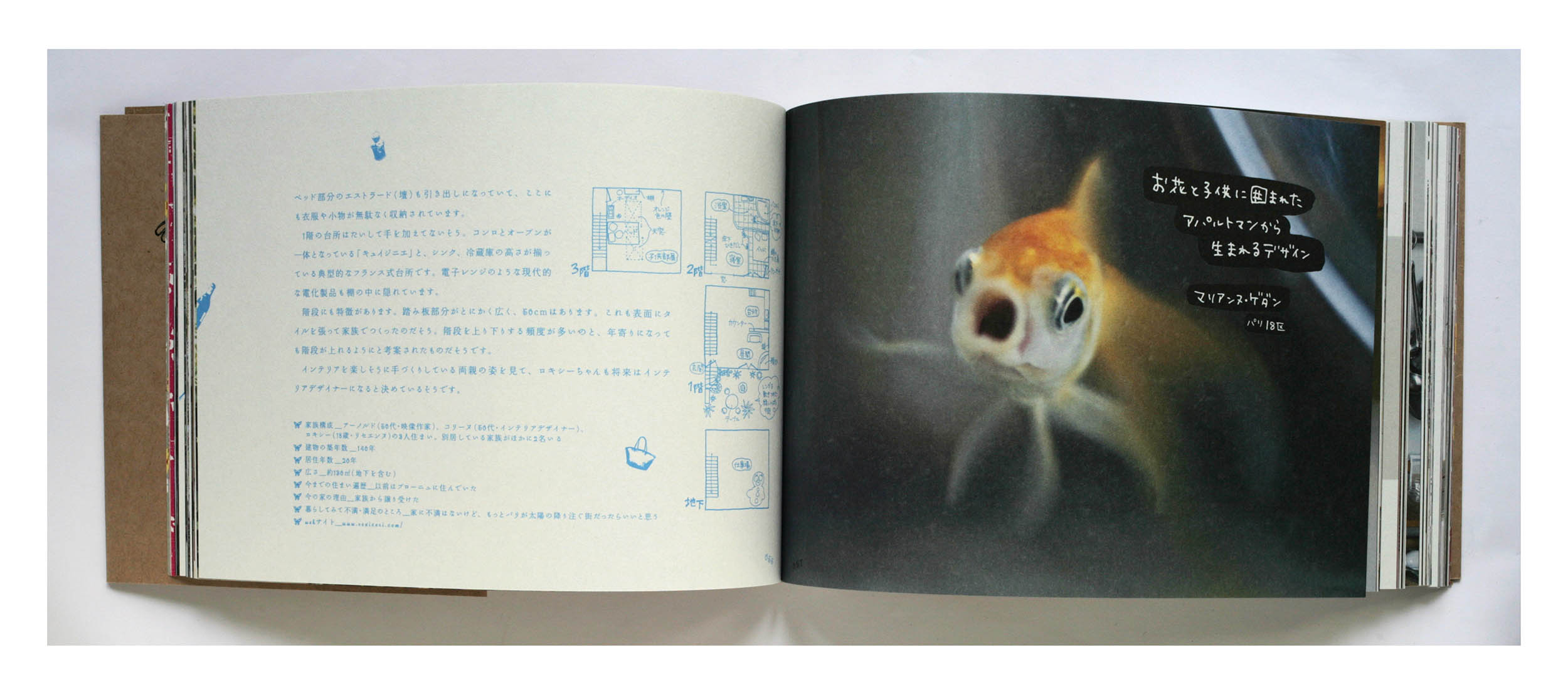 “Everyday Parisian Interiors” (普段着のパリ住まい), book in collaboration with Junko Nimura (text). Commissioned by X-Knowledge Publishers, 2007.
