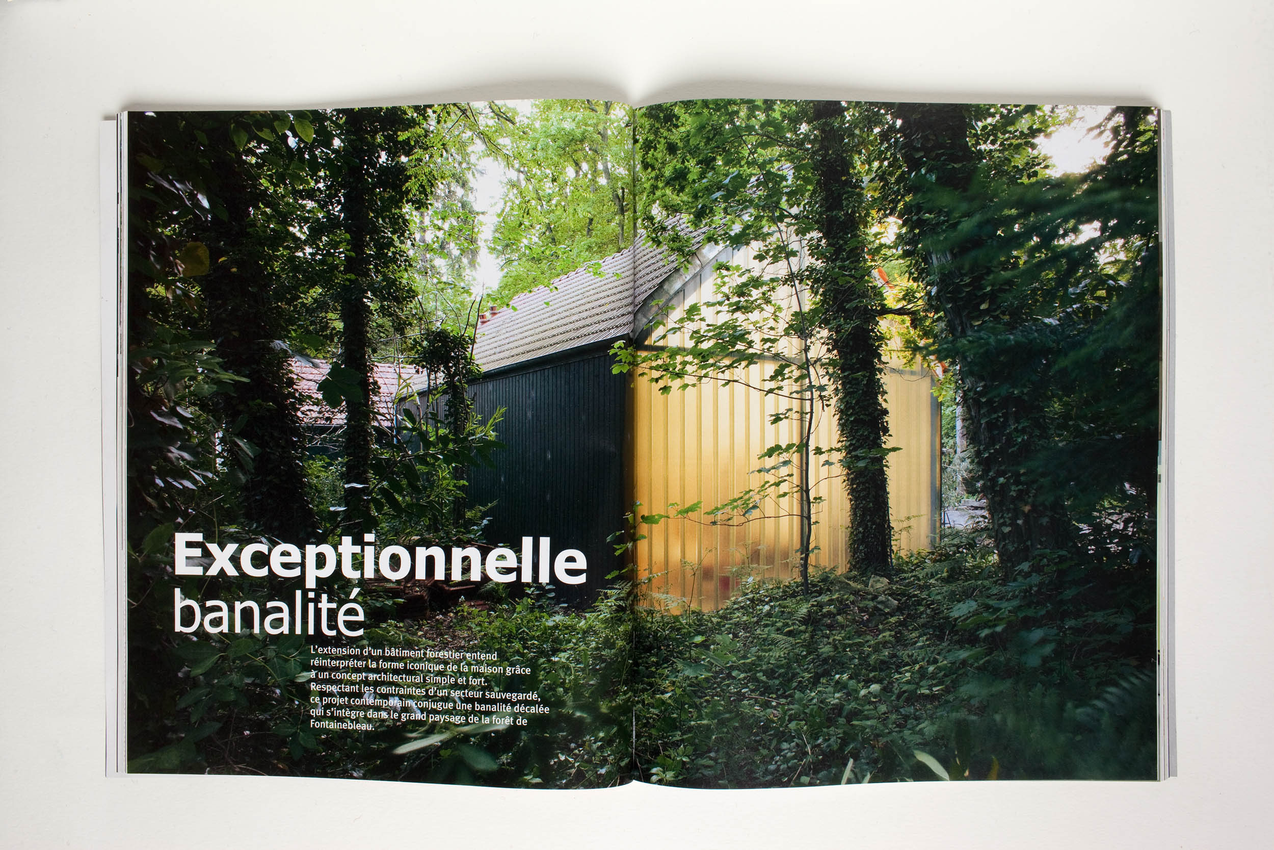 Private house, architecture by Damien Malige. Commissioned by Architectures À Vivre magazine.