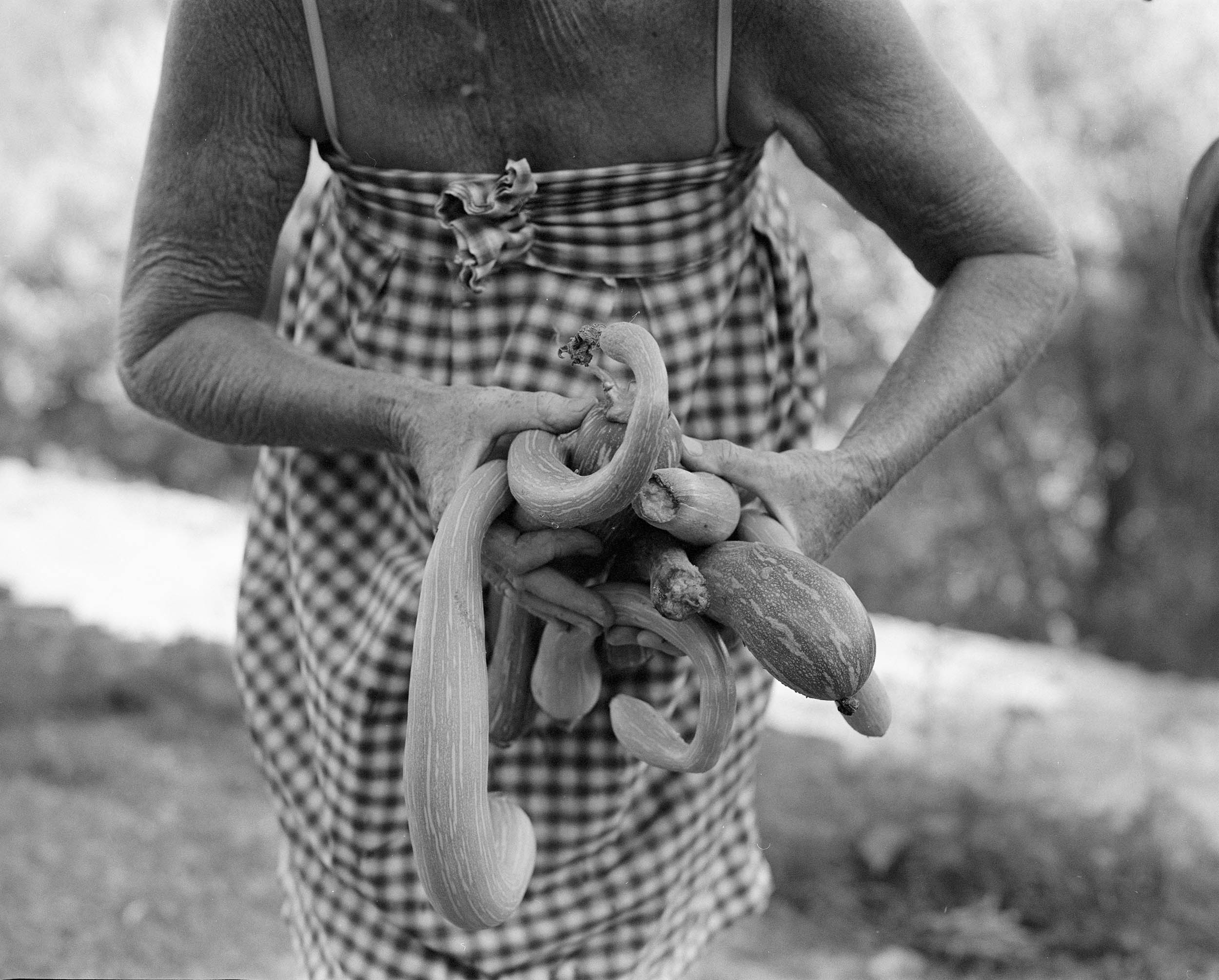Titi and the squashes, Èze, France, 2011