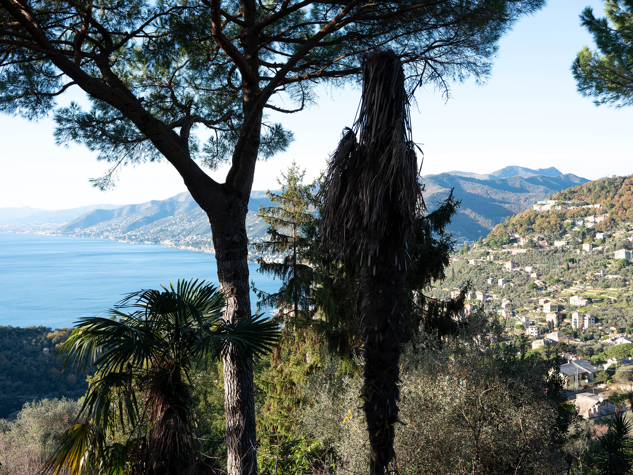 Towards San Rocco, Italy, 2024