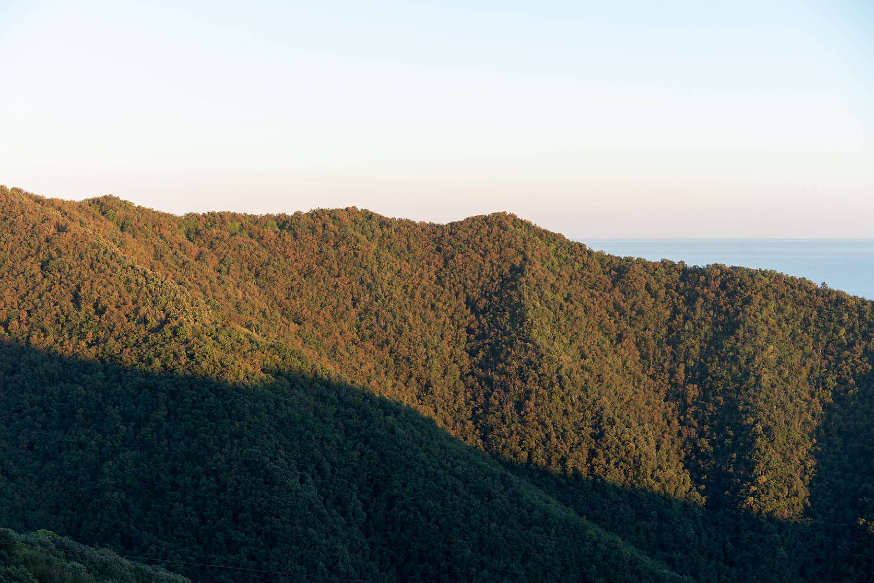 Towards San Rocco, Italy, 2020